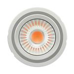 PL-CN111-COB- 4300-840-60D-G2