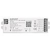 EuroSpot Led Controller Tuya & ZigBee 5in1
