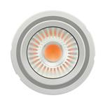 PL-CN111-COB- 4300-935-24D-G2